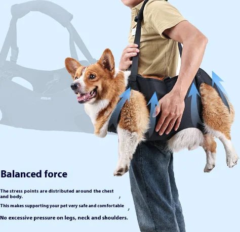 Dog Injury Travel Auxiliary Strap - vibeMuse